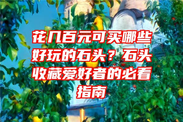 花几百元可买哪些好玩的石头？石头收藏爱好者的必看指南