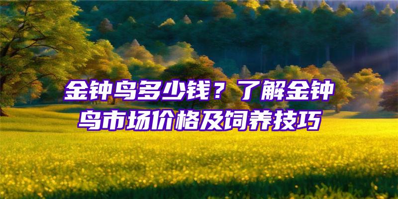 金钟鸟多少钱？了解金钟鸟市场价格及饲养技巧