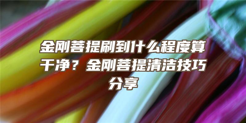 金刚菩提刷到什么程度算干净？金刚菩提清洁技巧分享