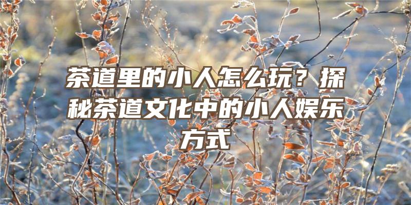 茶道里的小人怎么玩？探秘茶道文化中的小人娱乐方式