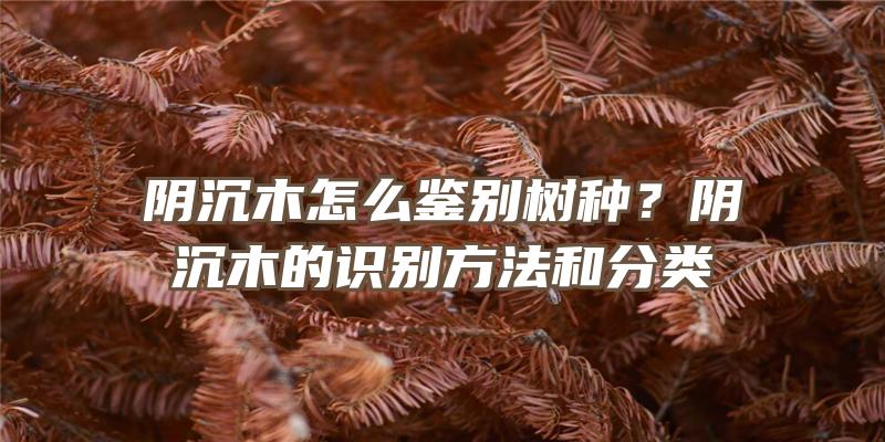 阴沉木怎么鉴别树种？阴沉木的识别方法和分类