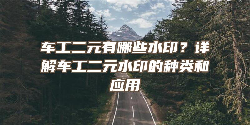 车工二元有哪些水印？详解车工二元水印的种类和应用