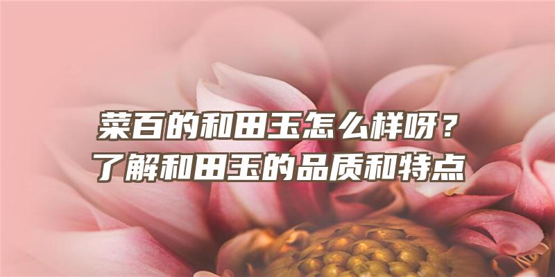 菜百的和田玉怎么样呀？了解和田玉的品质和特点