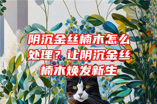 阴沉金丝楠木怎么处理？让阴沉金丝楠木焕发新生