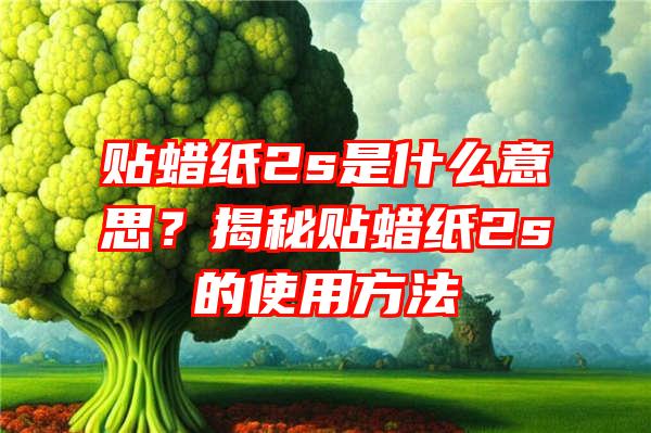 贴蜡纸2s是什么意思？揭秘贴蜡纸2s的使用方法