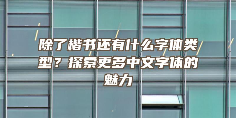 除了楷书还有什么字体类型？探索更多中文字体的魅力