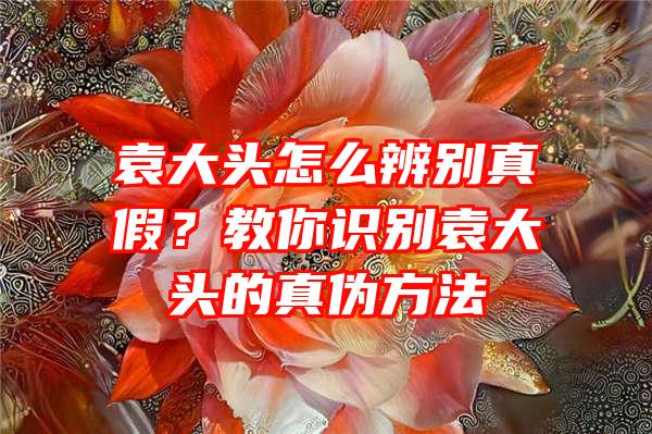 袁大头怎么辨别真假？教你识别袁大头的真伪方法