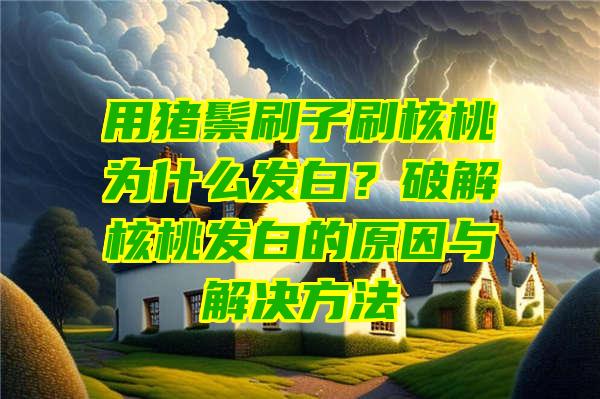 用猪鬃刷子刷核桃为什么发白？破解核桃发白的原因与解决方法