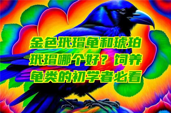 金色玳瑁龟和琥珀玳瑁哪个好？饲养龟类的初学者必看