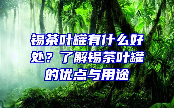 锡茶叶罐有什么好处？了解锡茶叶罐的优点与用途