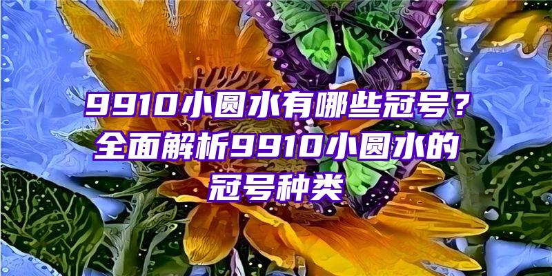 9910小圆水有哪些冠号？全面解析9910小圆水的冠号种类