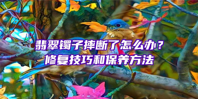 翡翠镯子摔断了怎么办？修复技巧和保养方法