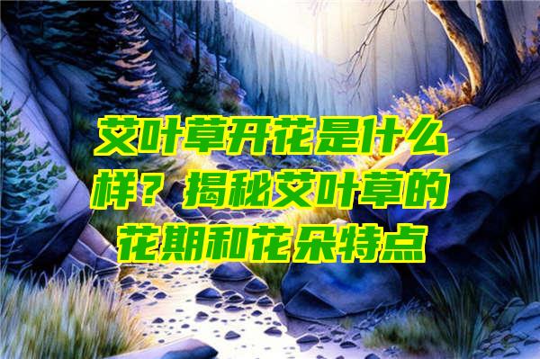 艾叶草开花是什么样？揭秘艾叶草的花期和花朵特点