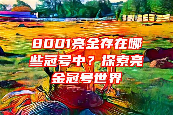 8001亮金存在哪些冠号中？探索亮金冠号世界