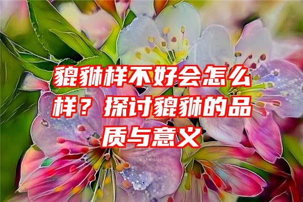 貔貅样不好会怎么样？探讨貔貅的品质与意义