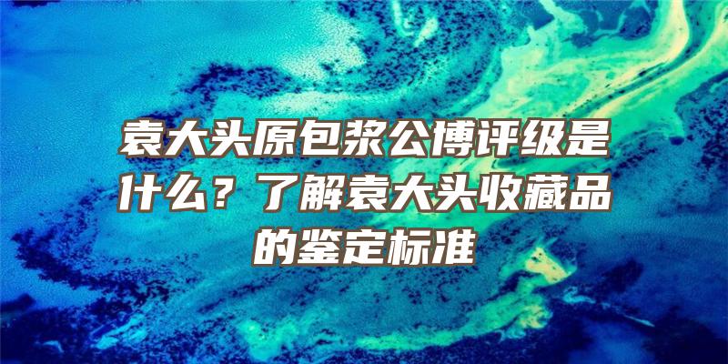 袁大头原包浆公博评级是什么？了解袁大头收藏品的鉴定标准