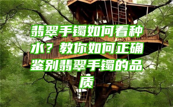 翡翠手镯如何看种水？教你如何正确鉴别翡翠手镯的品质