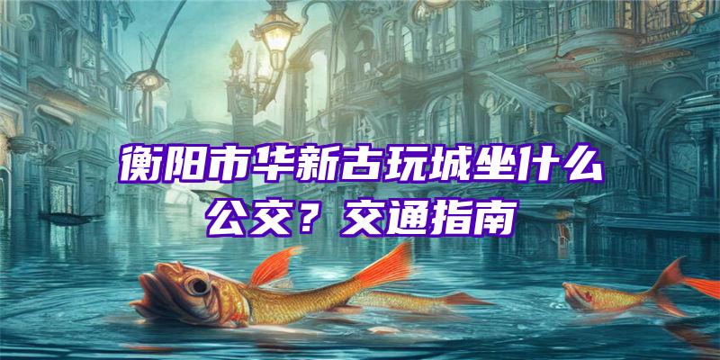 衡阳市华新古玩城坐什么公交？交通指南