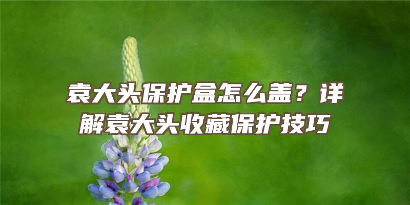 袁大头保护盒怎么盖？详解袁大头收藏保护技巧