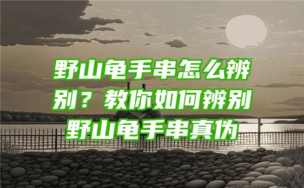 野山龟手串怎么辨别？教你如何辨别野山龟手串真伪