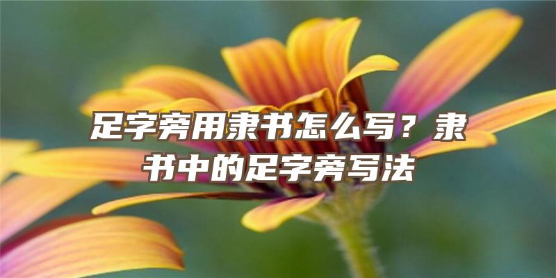 足字旁用隶书怎么写？隶书中的足字旁写法