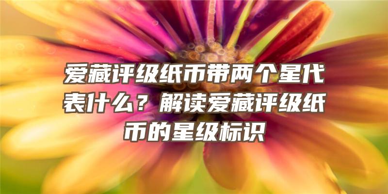 爱藏评级纸币带两个星代表什么？解读爱藏评级纸币的星级标识