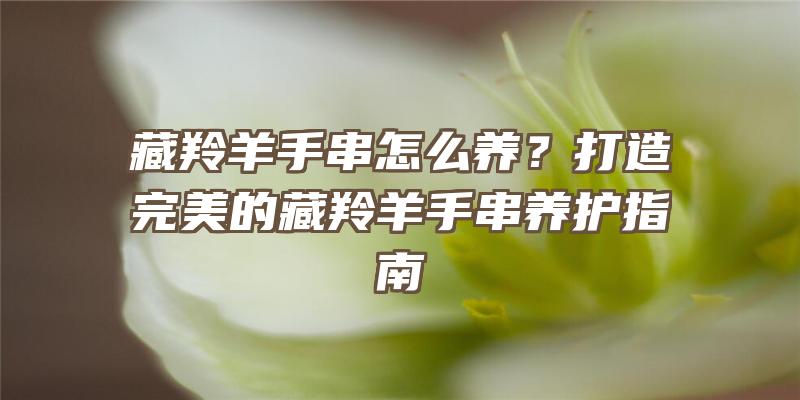 藏羚羊手串怎么养？打造完美的藏羚羊手串养护指南