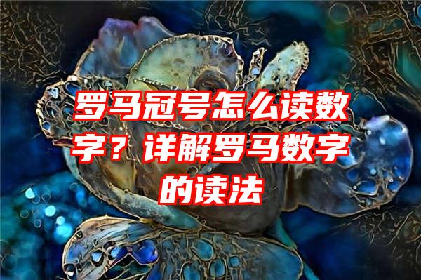 罗马冠号怎么读数字？详解罗马数字的读法