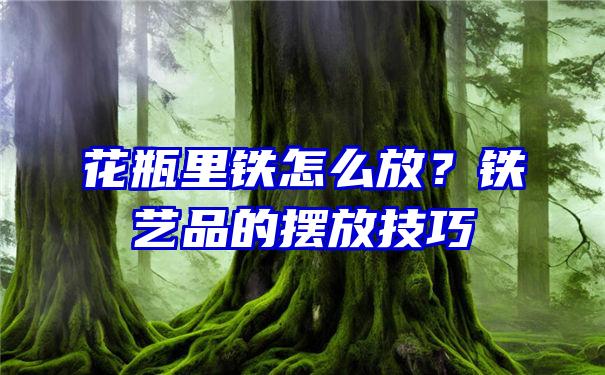 花瓶里铁怎么放？铁艺品的摆放技巧