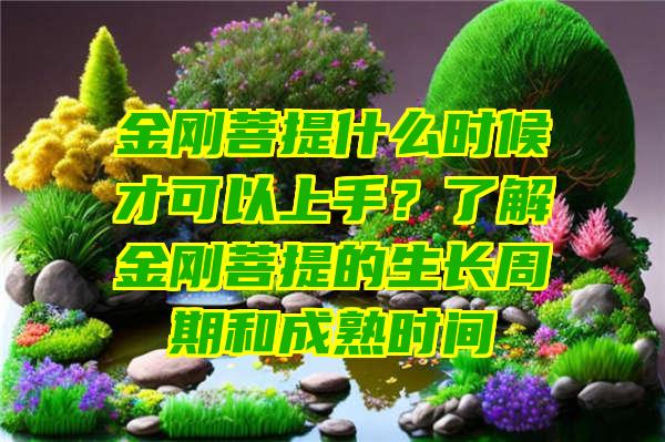 金刚菩提什么时候才可以上手？了解金刚菩提的生长周期和成熟时间