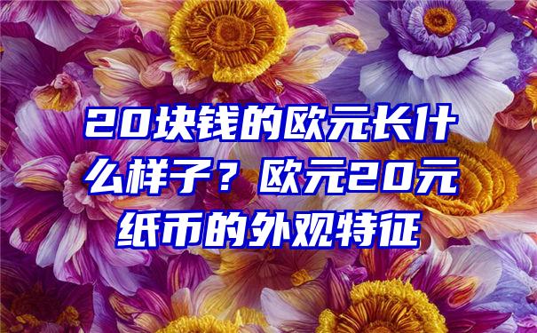 20块钱的欧元长什么样子？欧元20元纸币的外观特征