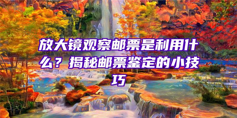 放大镜观察邮票是利用什么？揭秘邮票鉴定的小技巧