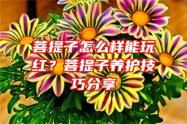 菩提子怎么样能玩红？菩提子养护技巧分享