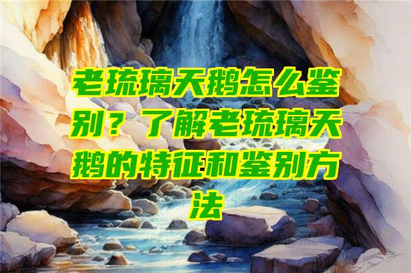 老琉璃天鹅怎么鉴别？了解老琉璃天鹅的特征和鉴别方法