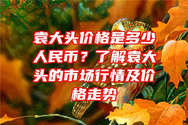 袁大头价格是多少人民币？了解袁大头的市场行情及价格走势