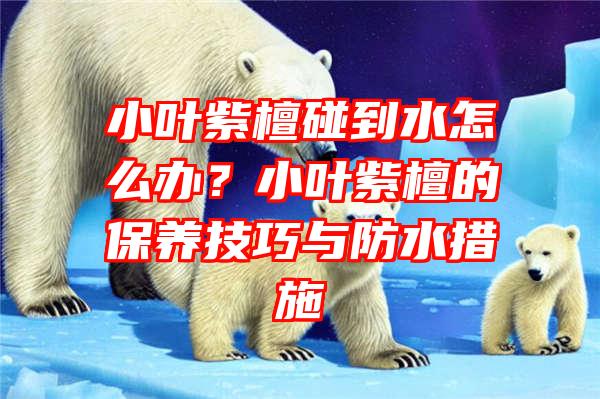 小叶紫檀碰到水怎么办？小叶紫檀的保养技巧与防水措施