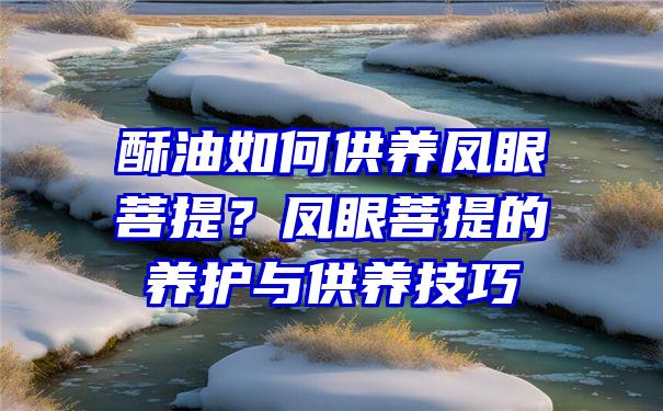 酥油如何供养凤眼菩提？凤眼菩提的养护与供养技巧