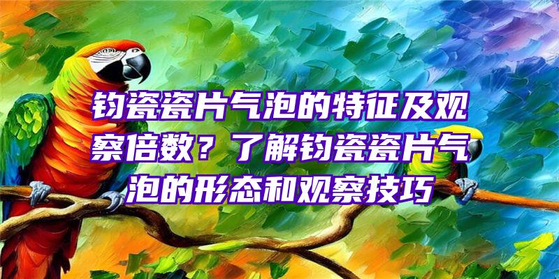 钧瓷瓷片气泡的特征及观察倍数？了解钧瓷瓷片气泡的形态和观察技巧