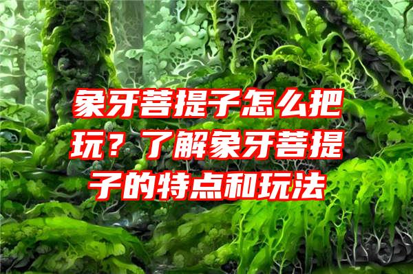 象牙菩提子怎么把玩？了解象牙菩提子的特点和玩法