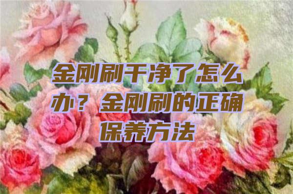 金刚刷干净了怎么办？金刚刷的正确保养方法