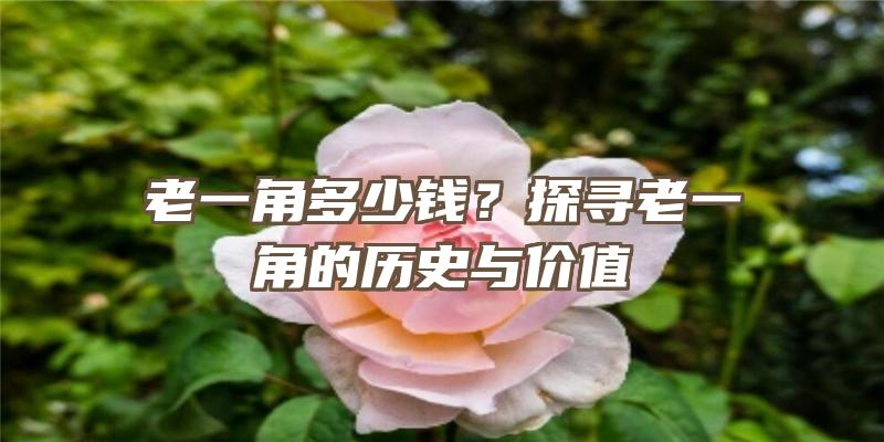 老一角多少钱？探寻老一角的历史与价值