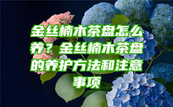 金丝楠木茶盘怎么养？金丝楠木茶盘的养护方法和注意事项