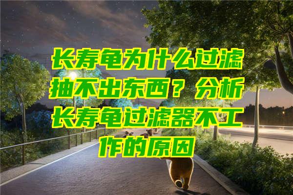 长寿龟为什么过滤抽不出东西？分析长寿龟过滤器不工作的原因