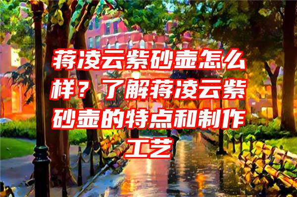 蒋凌云紫砂壶怎么样？了解蒋凌云紫砂壶的特点和制作工艺