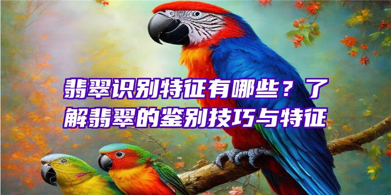 翡翠识别特征有哪些？了解翡翠的鉴别技巧与特征