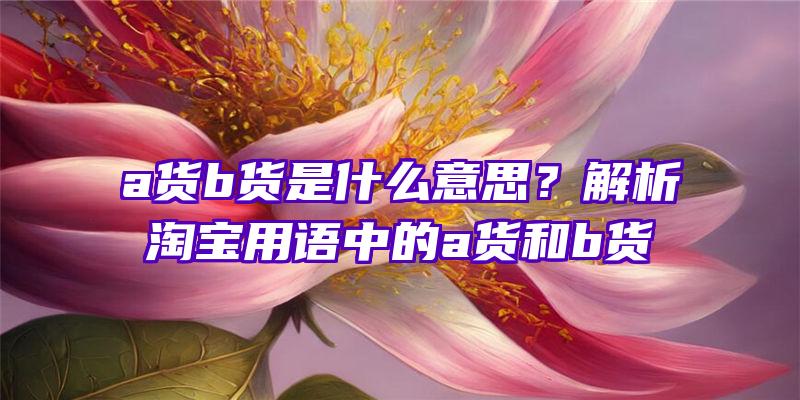 a货b货是什么意思？解析淘宝用语中的a货和b货