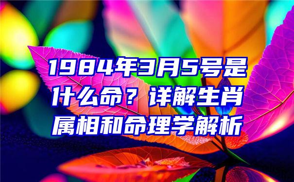 1984年3月5号是什么命？详解生肖属相和命理学解析