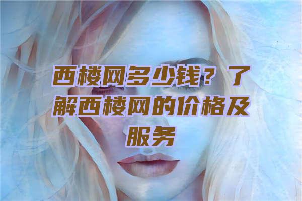 西楼网多少钱？了解西楼网的价格及服务