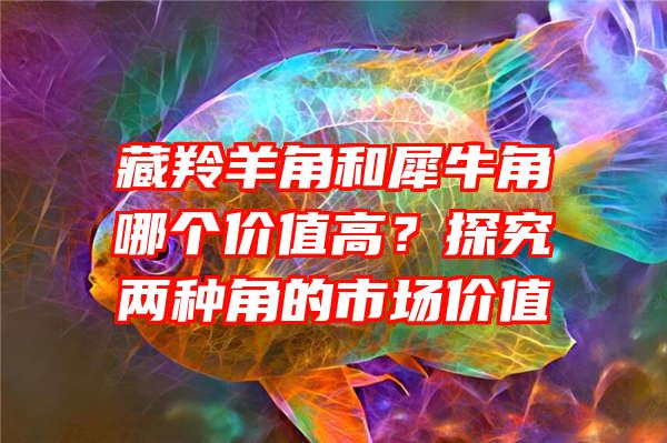 藏羚羊角和犀牛角哪个价值高？探究两种角的市场价值