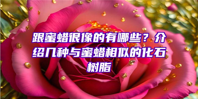 跟蜜蜡很像的有哪些？介绍几种与蜜蜡相似的化石树脂